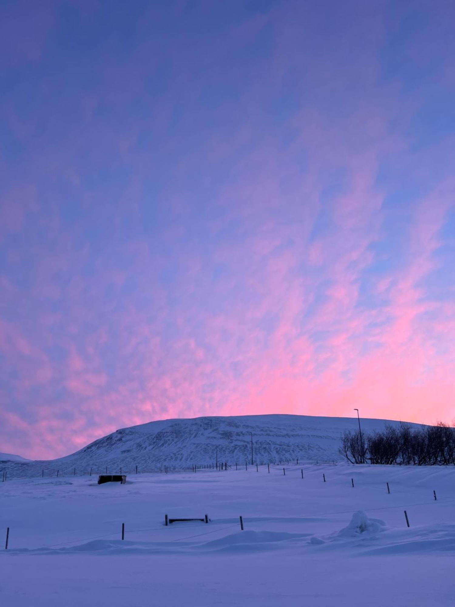 Stora-Asgeirsa Horse Farm Stay Vithigerthi Exterior photo